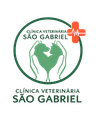 Logo da Clínica São Gabriel